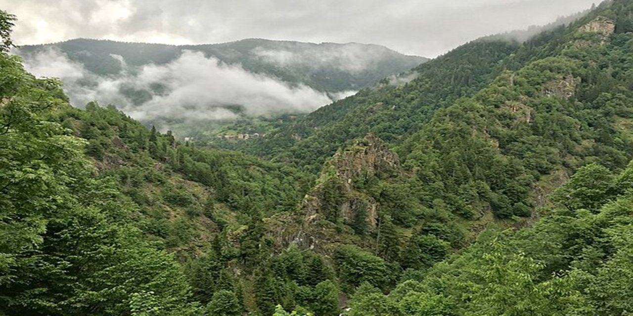 Muğla'da ormanlara giriş yasağı getirildi