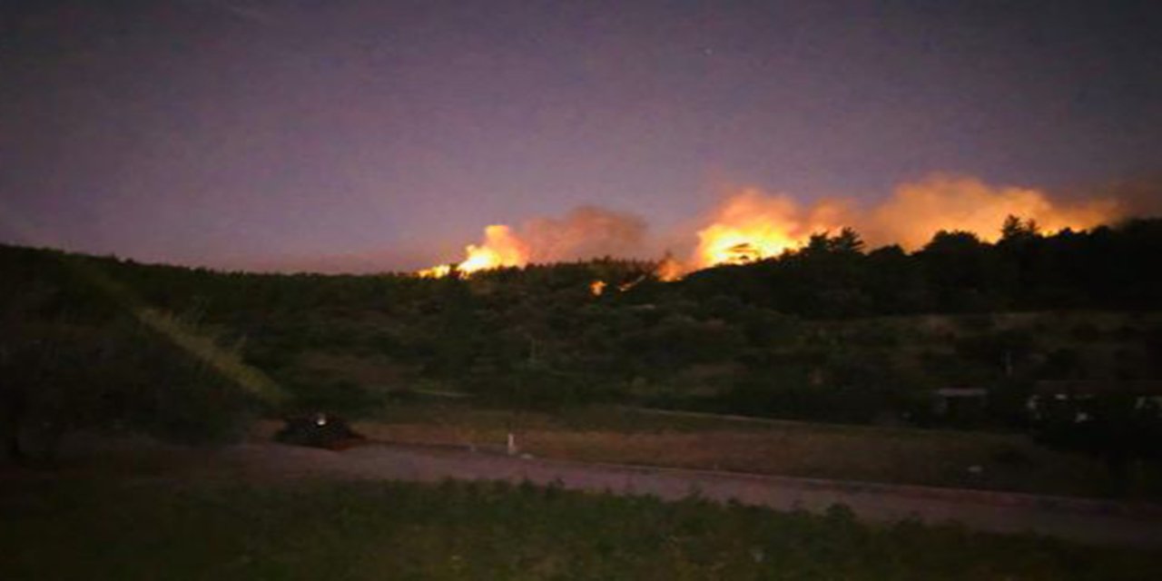İzmir'de ormanlık alanda yangın