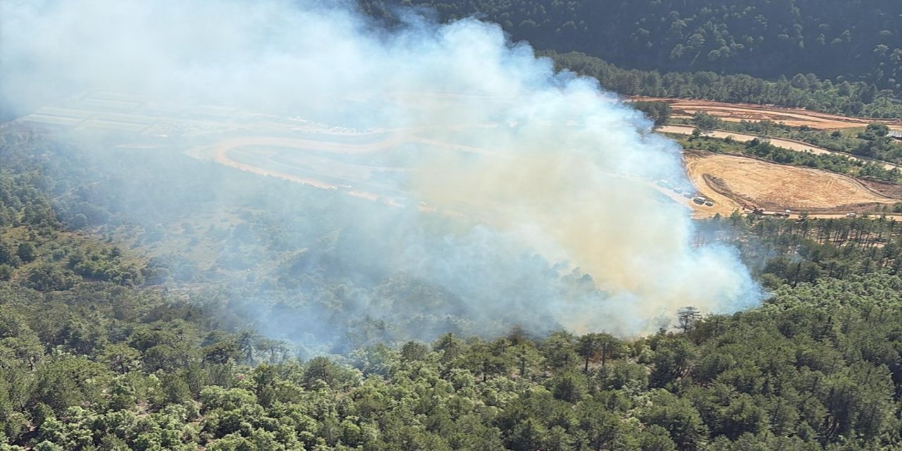 Balıkesir'de orman yangını