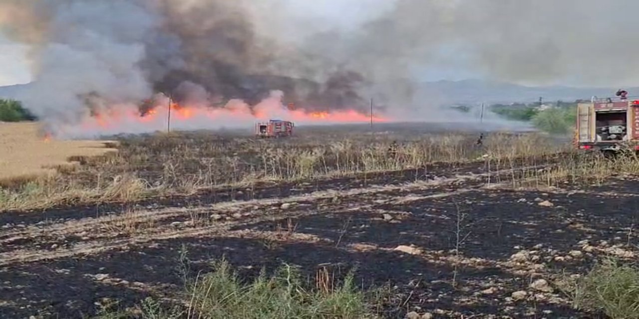 Malatya'da 41 noktada yangın çıktı