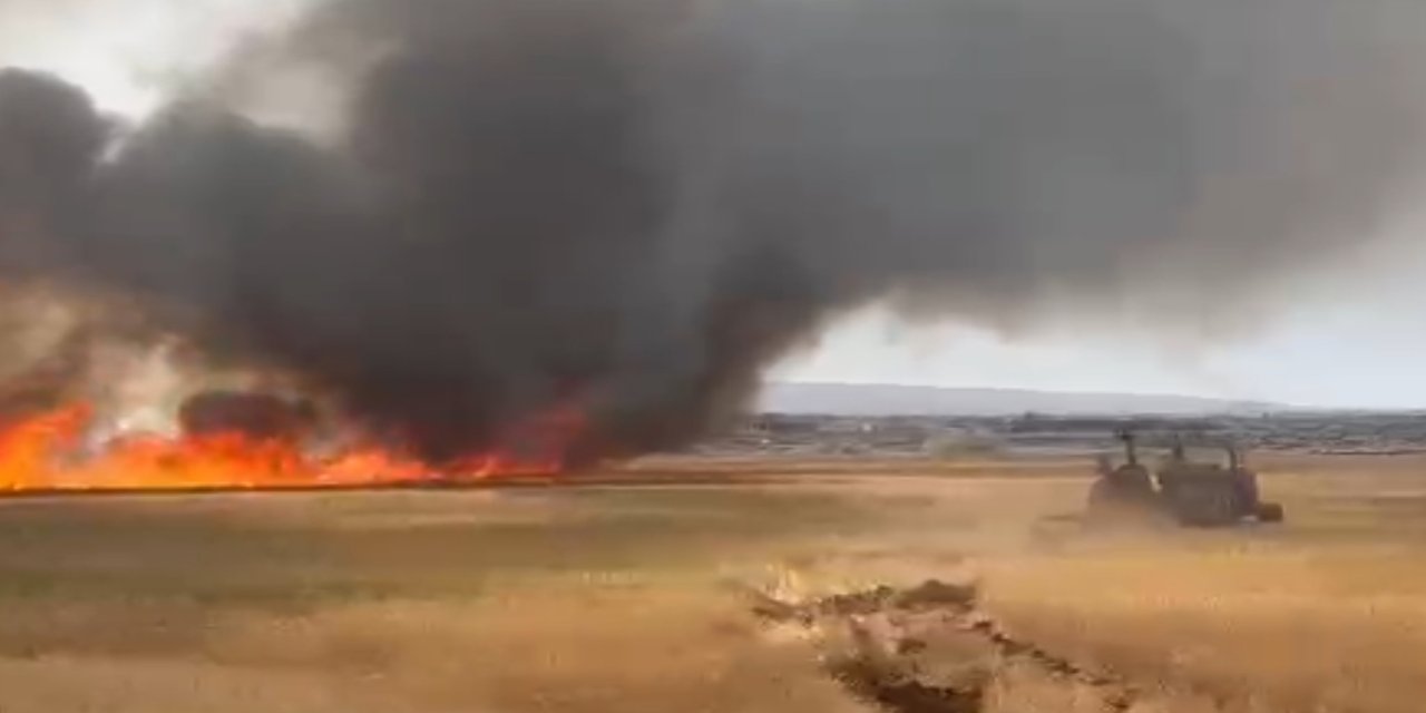 Diyarbakır'da 50 dönüm ekili alan yandı