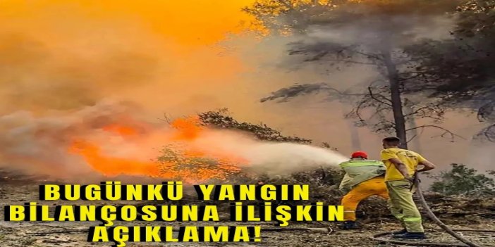 Türkiye'de 111 orman ve ziraat yangınından 106'sı kontrol altına alındı