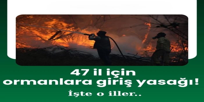 47 ilde ormanlara giriş yasaklandı