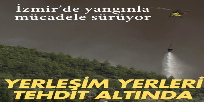 Çeşme ve Ödemiş'te orman yangını: Üç mahalle tahliye edildi, otoyol trafiğe kapandı