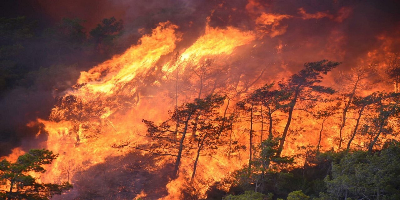 Hatay'da orman yangını rüzgarın etkisiyle yayılıyor
