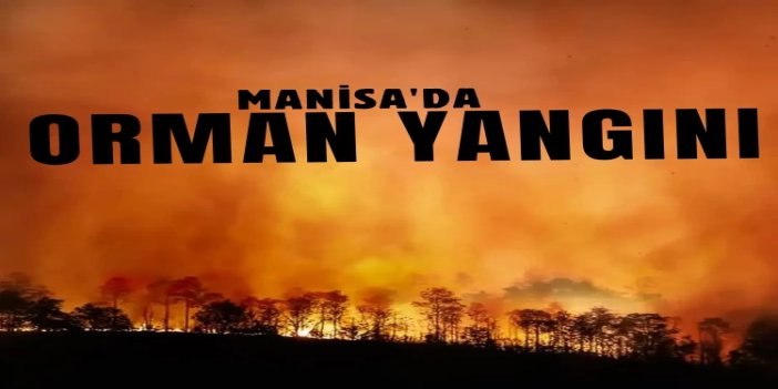 Manisa'da orman yangını
