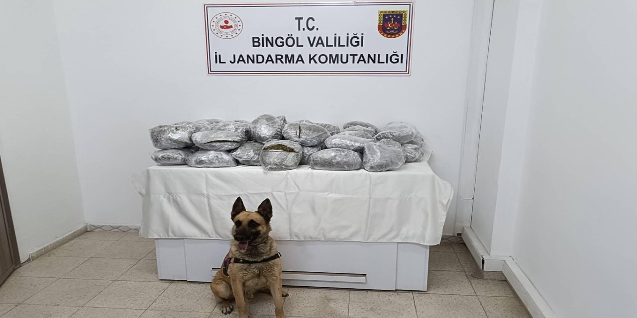 Bingöl'de 49 kilo 600 gram kubar esrar ele geçirildi