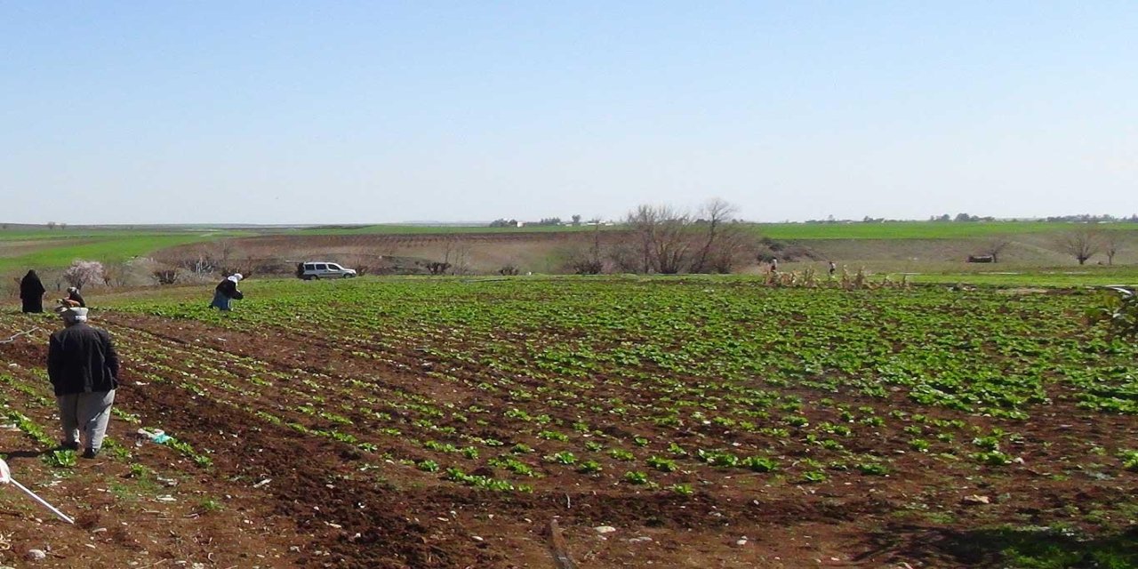 TKDK'dan Gaziantep'te kırsal kalkınma ve tarım sektörüne destek
