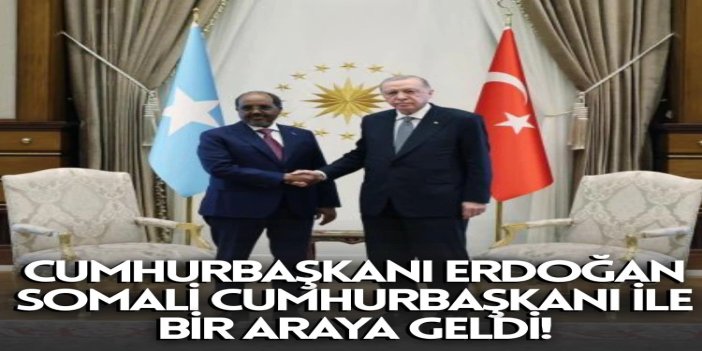 Cumhurbaşkanı Erdoğan, Somali Cumhurbaşkanı Mahmud ile görüştü