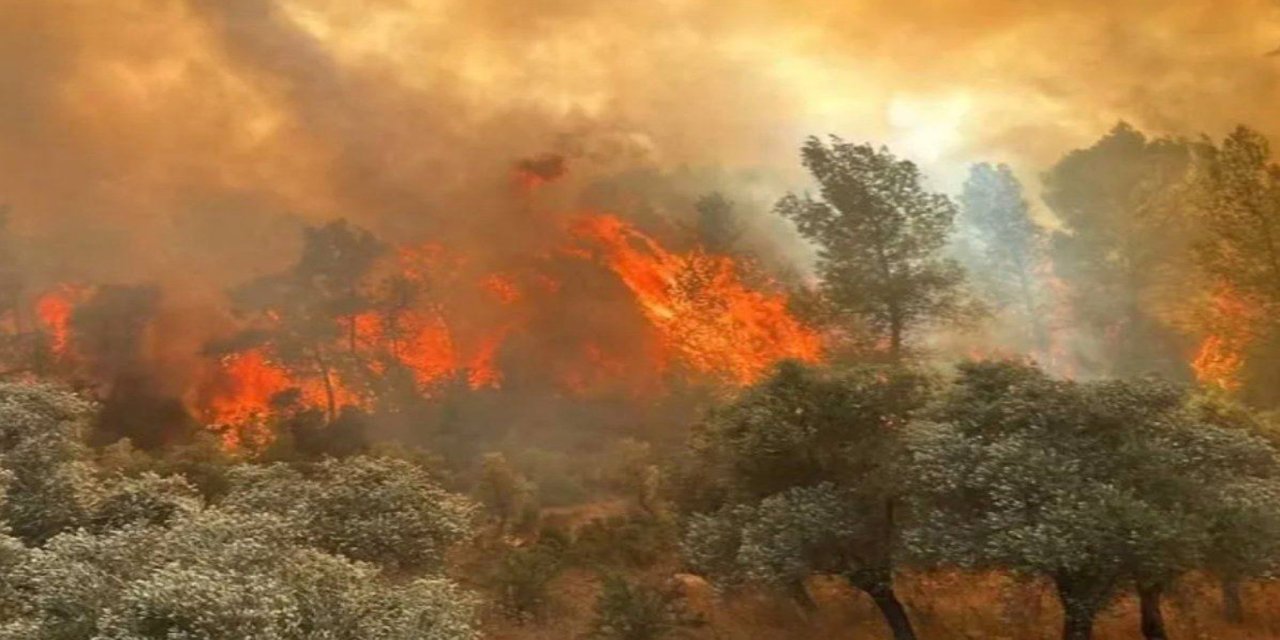 Eskişehir'deki orman yangınında hayatını kaybedenlerin isimleri belli oldu