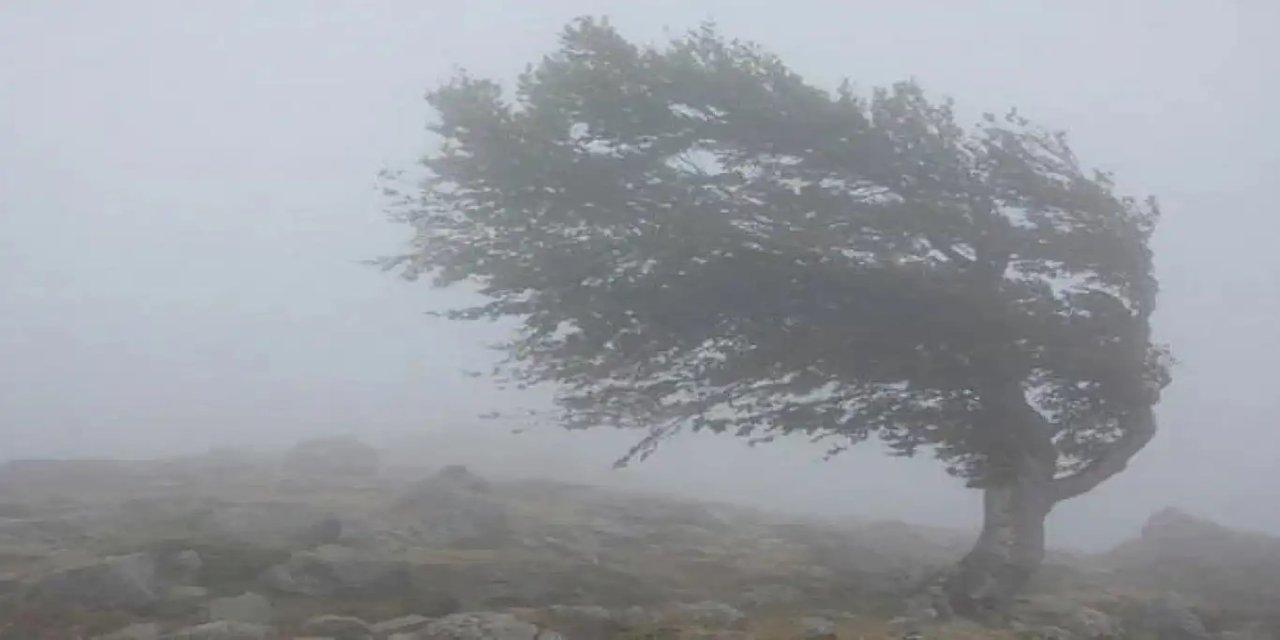 Meteoroloji uyardı: Güneydoğu'da kuvvetli rüzgar
