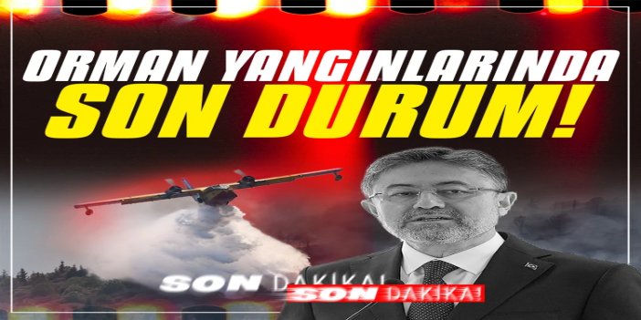 Bakan Yumaklı: Aktif yangın tehdidi kalmadı, Çine yangını büyük ölçüde kontrol altında