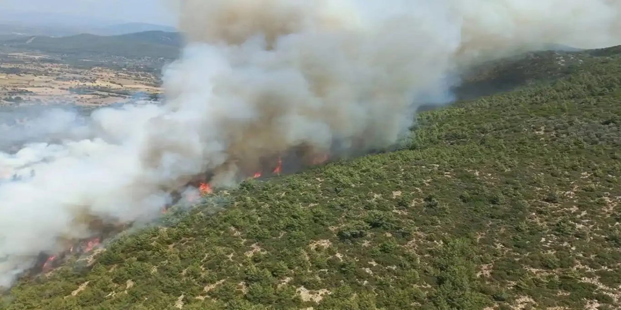 Tekirdağ'da makilik alanda yangın