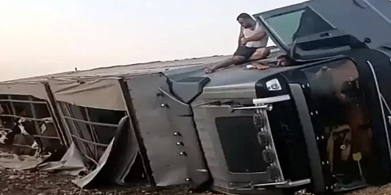 Şanlıurfa’da hayvan yüklü tır devrildi