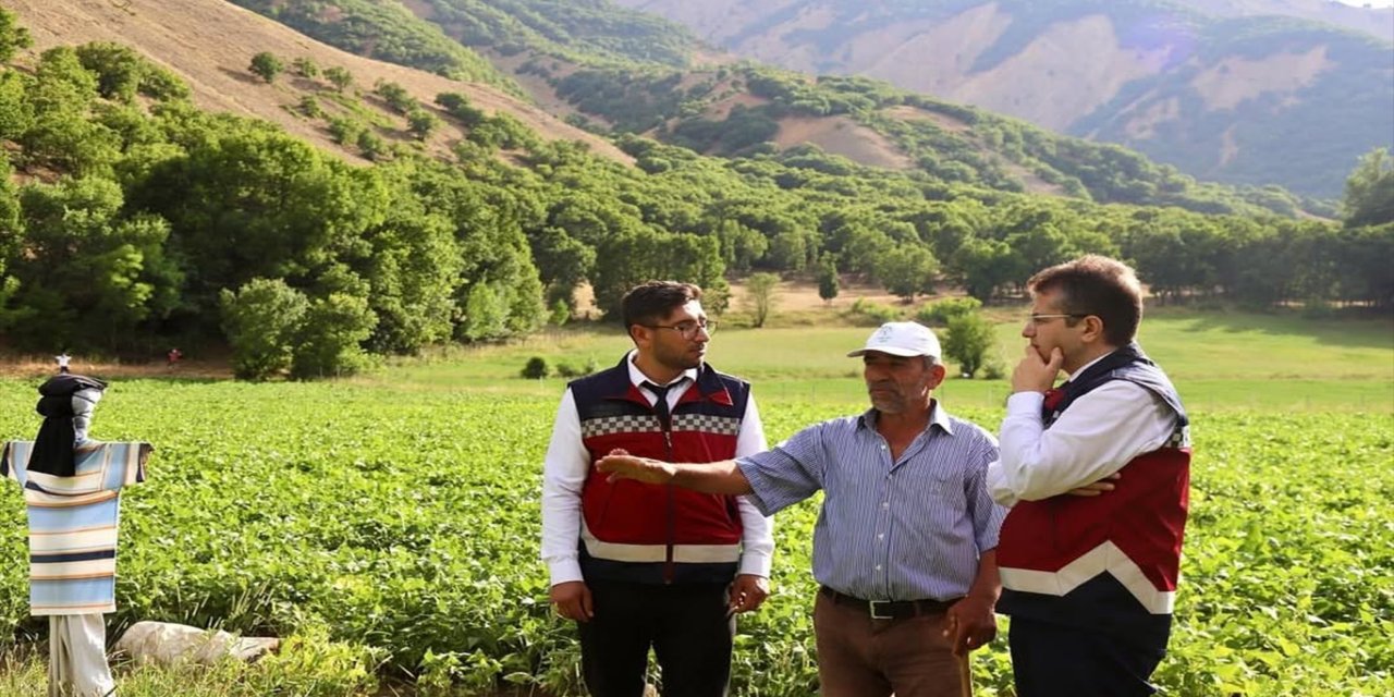 Yedisu'da üreticilerle buluşma: Kırsal kalkınma için saha çalışmaları sürüyor