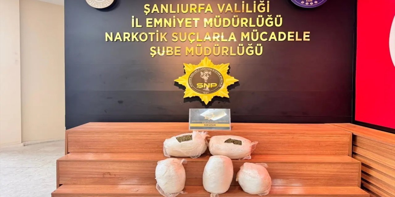 Şanlıurfa'da 7.5 kilogram skunk ele geçirildi: 1 tutuklama