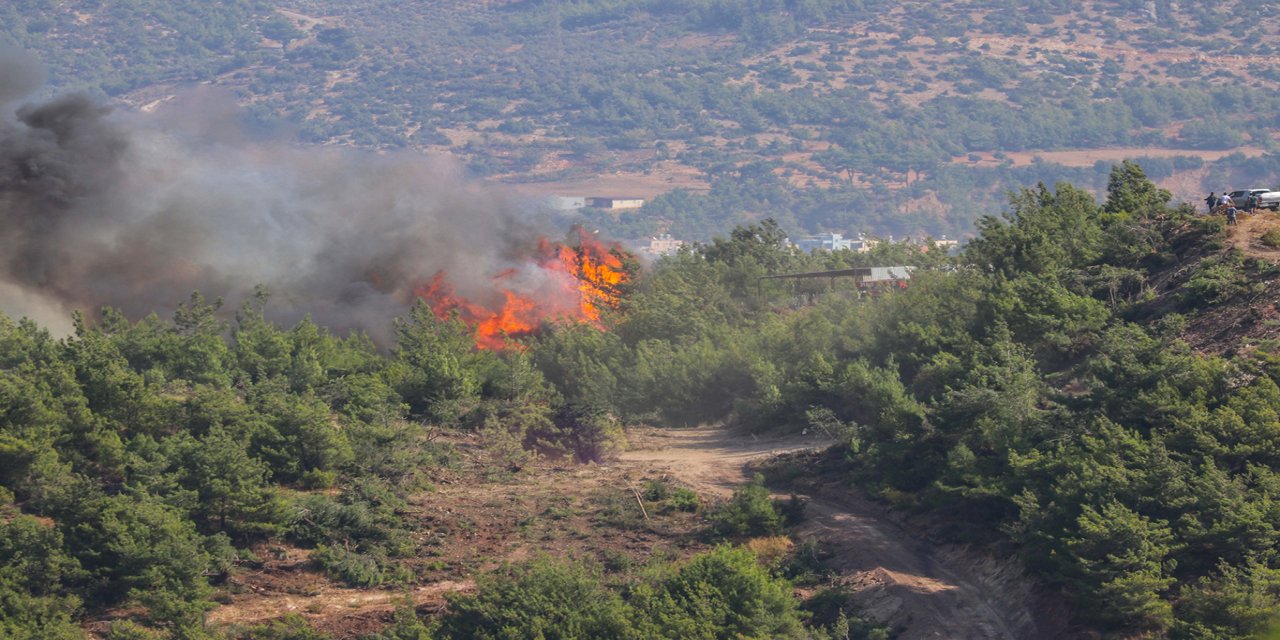Hatay'da orman yangını