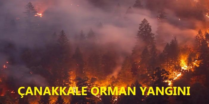Çanakkale'de orman yangını: Söndürme çalışmaları sürüyor