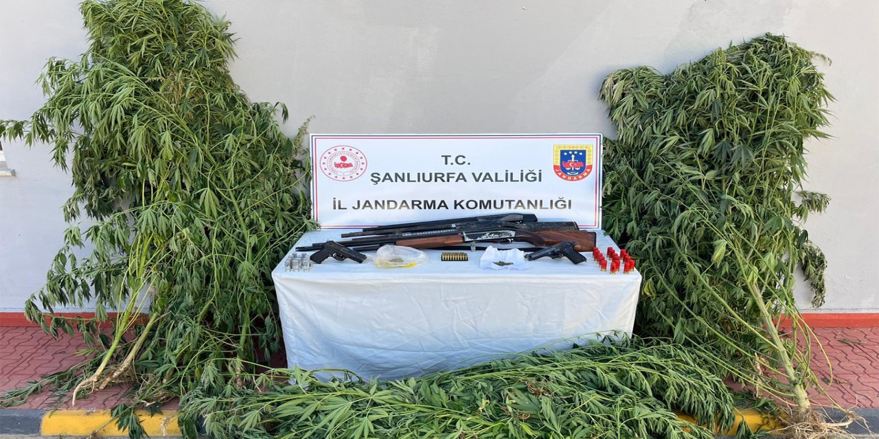 Şanlıurfa’da uyuşturucu ve silah operasyonu