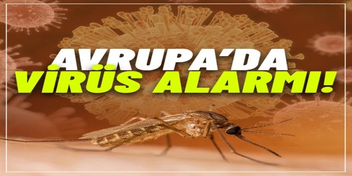 Avrupa'da Batı Nil virüsü alarmı