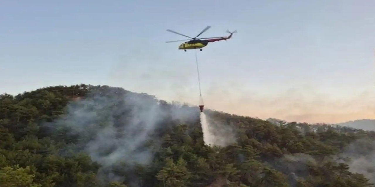 Denizli Pamukkale'deki orman yangını büyük ölçüde söndürüldü