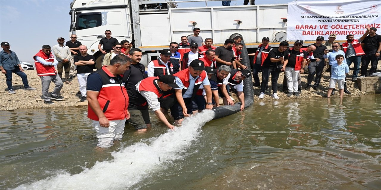 Batman Baraj Gölü'ne 2 milyon adet balık yavrusu bırakıldı