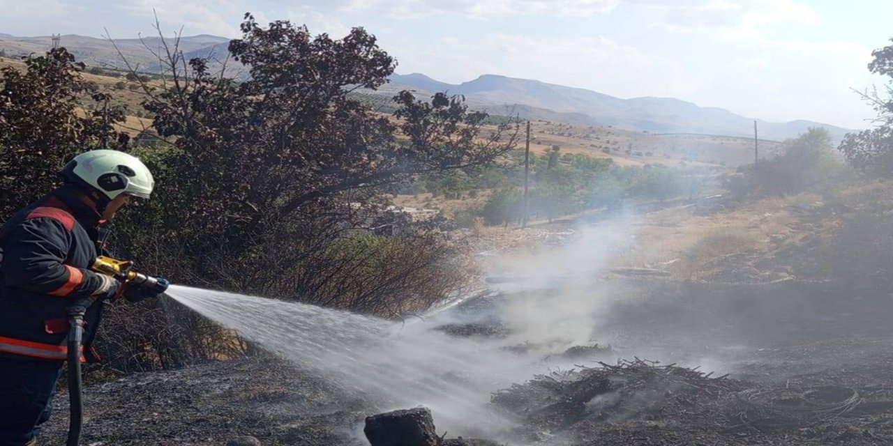 Malatya'da bahçe yangınlarında ağaçlar zarar gördü