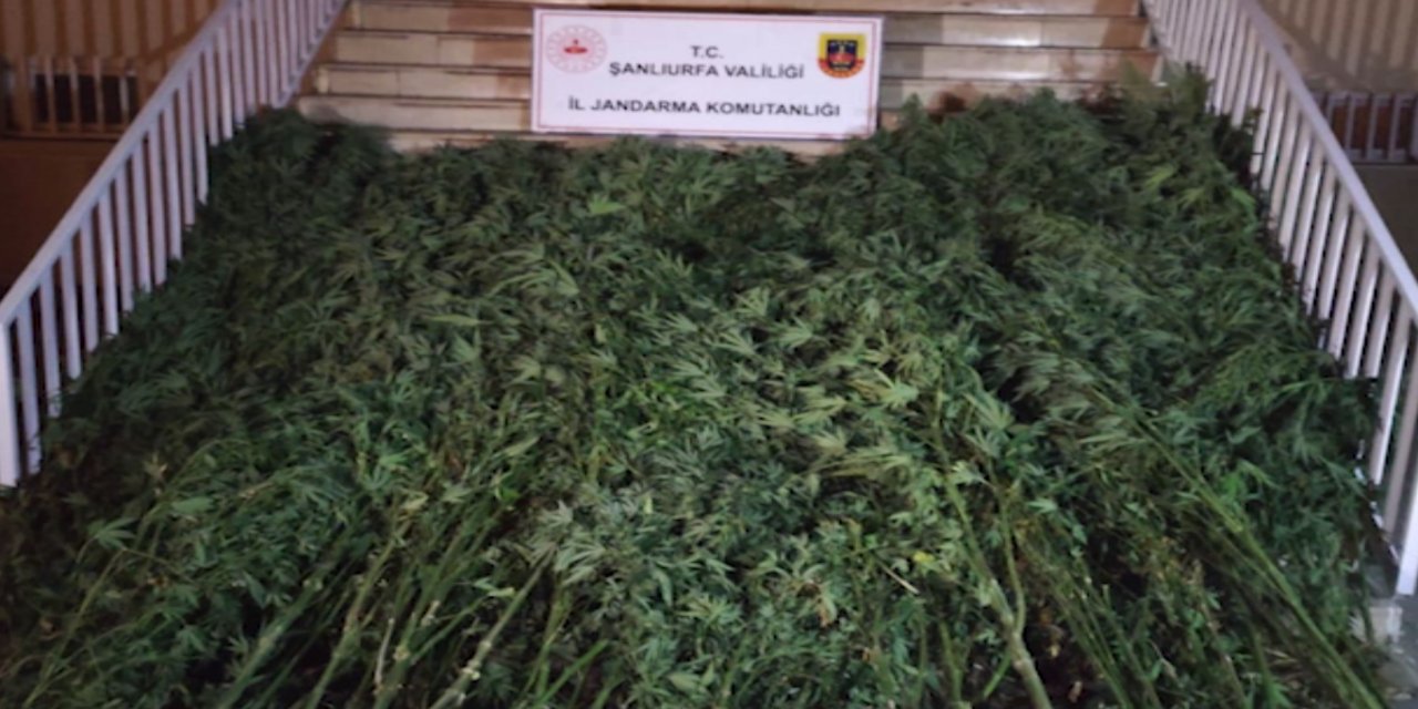 Şanlıurfa’da uyuşturucu operasyonları: 42 kişi hakkında işlem yapıldı