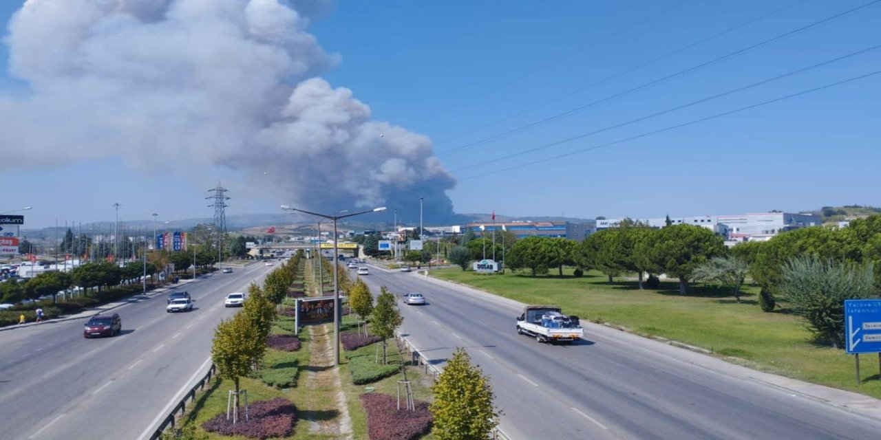 Bursa'da orman yangını: Havadan ve karadan müdahale sürüyor