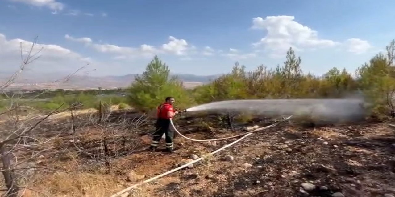 Elazığ'da ormanlık alanda çıkan yangın büyümeden söndürüldü