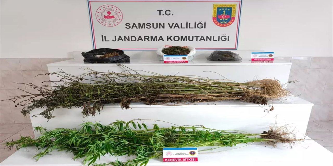 Samsun'da uyuşturucu operasyonu: 2 tutuklama