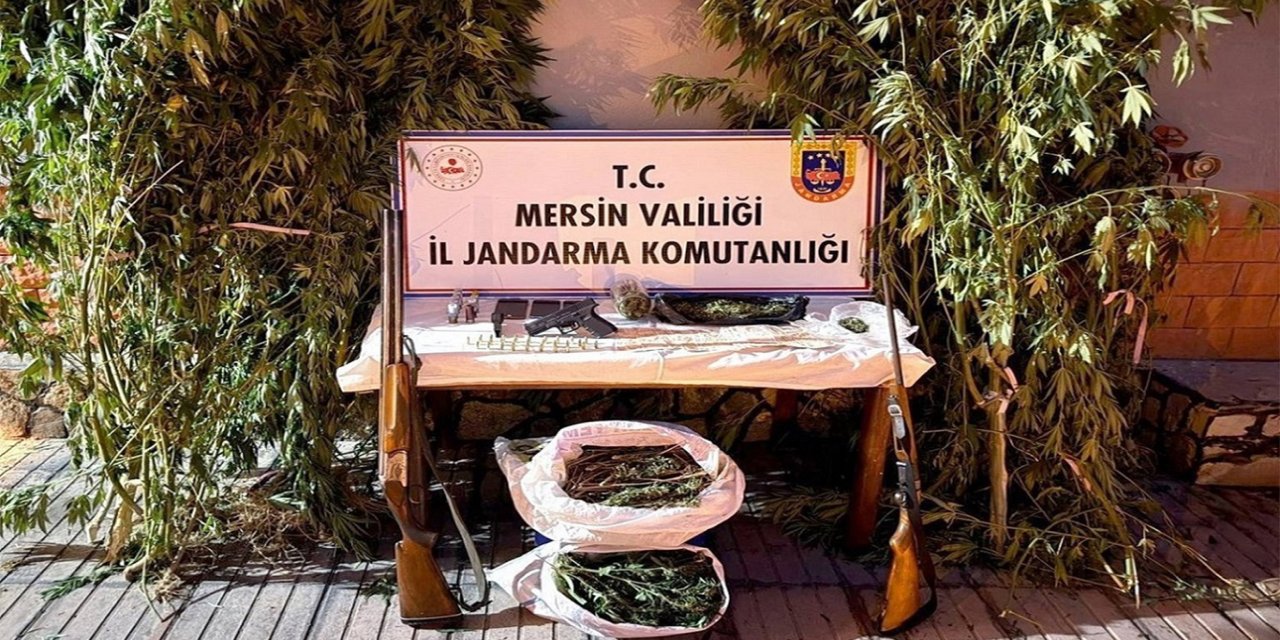 Mersin'de kenevir operasyonu: 1 tutuklama