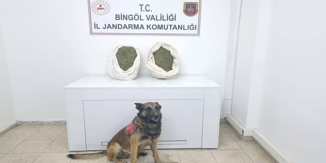 Bingöl’de uyuşturucu operasyonu: 1 tutuklama