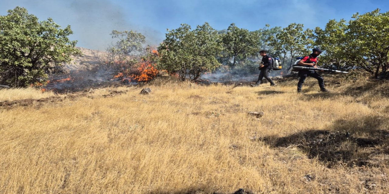 Mardin’de  ormanlık alanda çıkan yangın 3 saatte kontrol altına alındı
