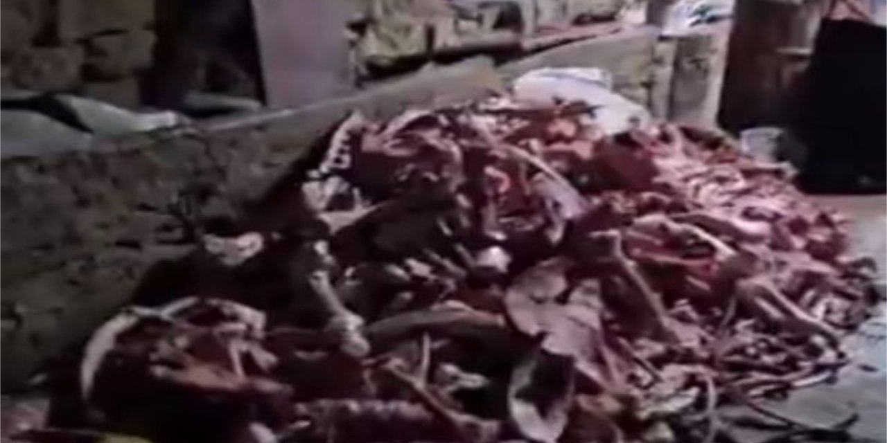 Kayseri’de bir ahırda 1,5 ton uygunsuz et ele geçirildi