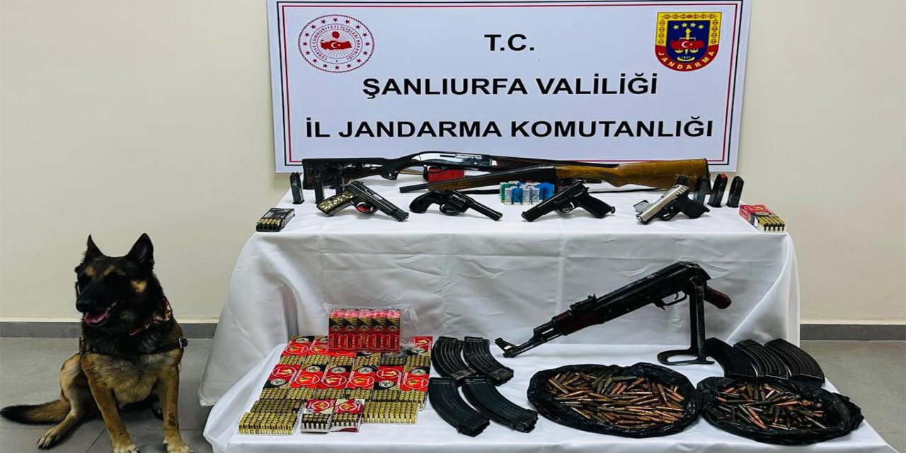 Şanlıurfa’da silah kaçakçılığı operasyonu
