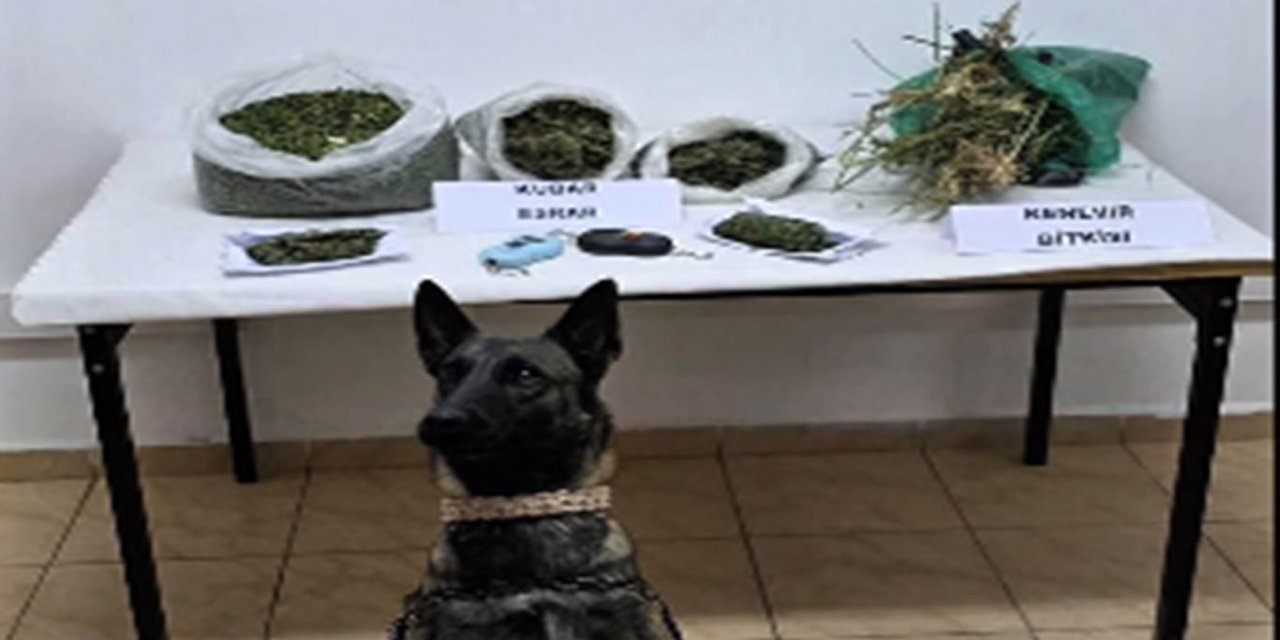Batman'da uyuşturucu operasyonunda bir kişi tutuklandı