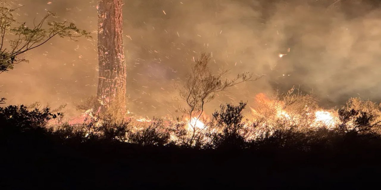 Kastamonu’da orman yangını