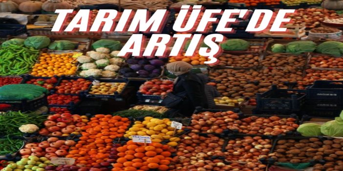Eylül ayında Tarım ÜFE aylık bazda yüzde 5,8 arttı