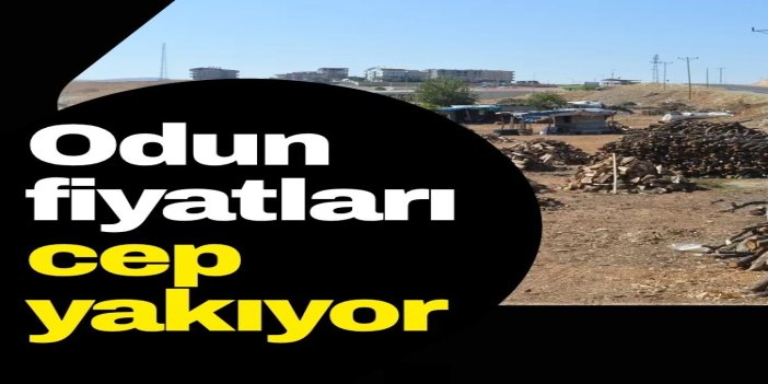 Havalar soğumaya başladı, odun fiyatları cep yakıyor