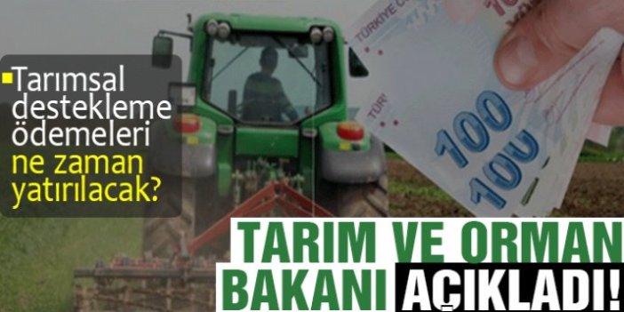 Tarımsal destek ödemeleri hesaplara yatıyor