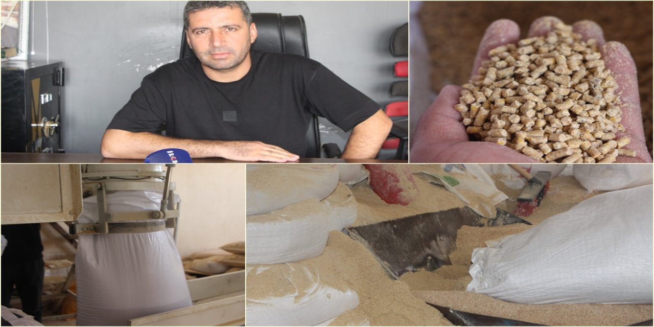 Yem sektörü temsilcisi Kepenç: Artan yem fiyatları süt ve et ürünlerine de yansıyor