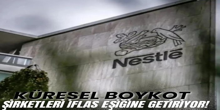 Boykot, işgal yanlısı şirketleri iflas eşiğine getiriyor