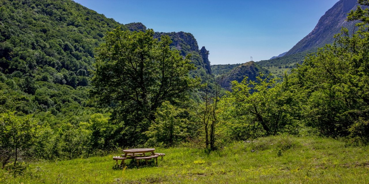 "Yeşil Vatan Seferberliği" başlatılacak