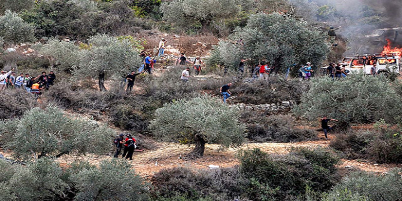 İşgalciler Kudüs'te iki genci yaraladı, 60 zeytin ağacını kökünden söktü
