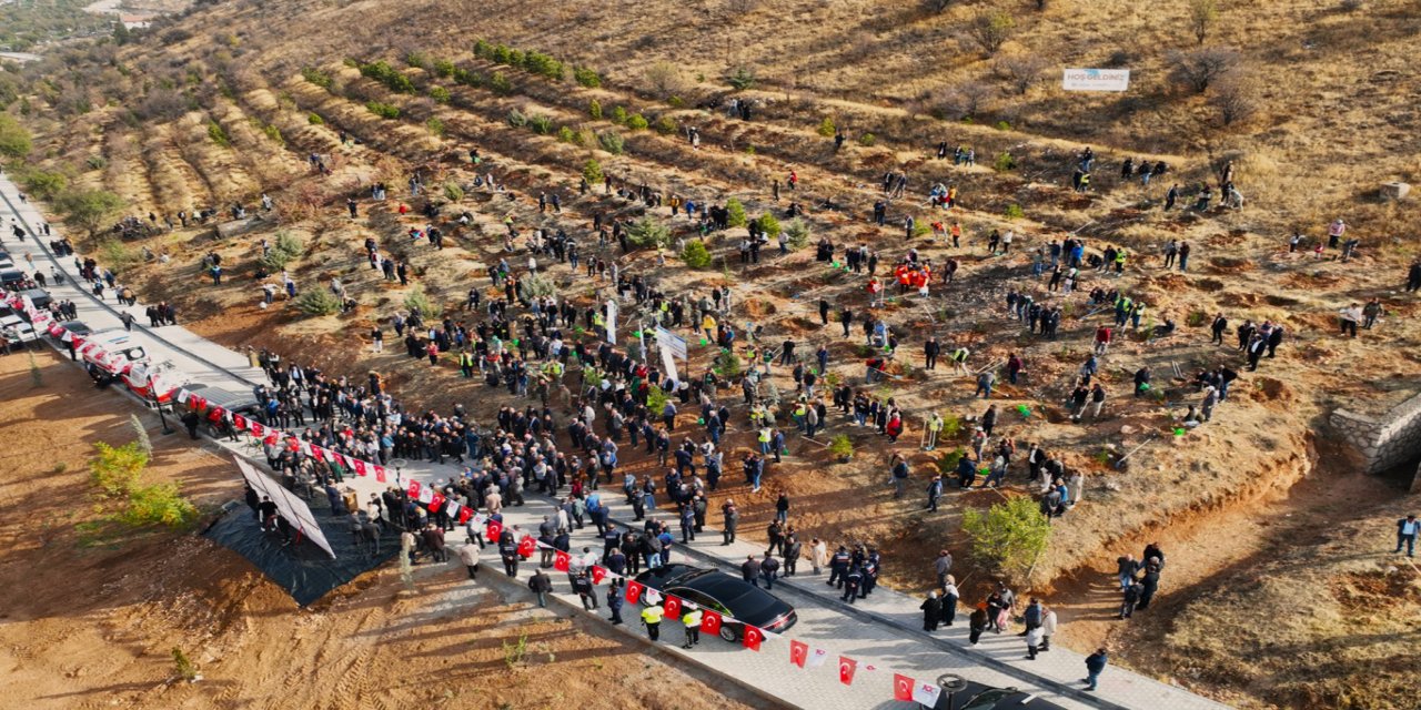 Malatya'da "Deprem Şehitleri Hatıra Ormanı" yenileniyor
