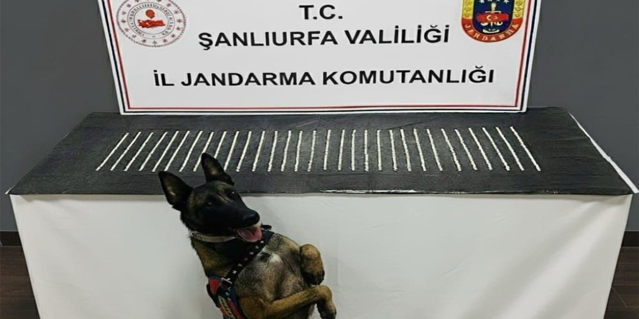 Şanlıurfa’da uyuşturucu operasyonu: 3 gözaltı