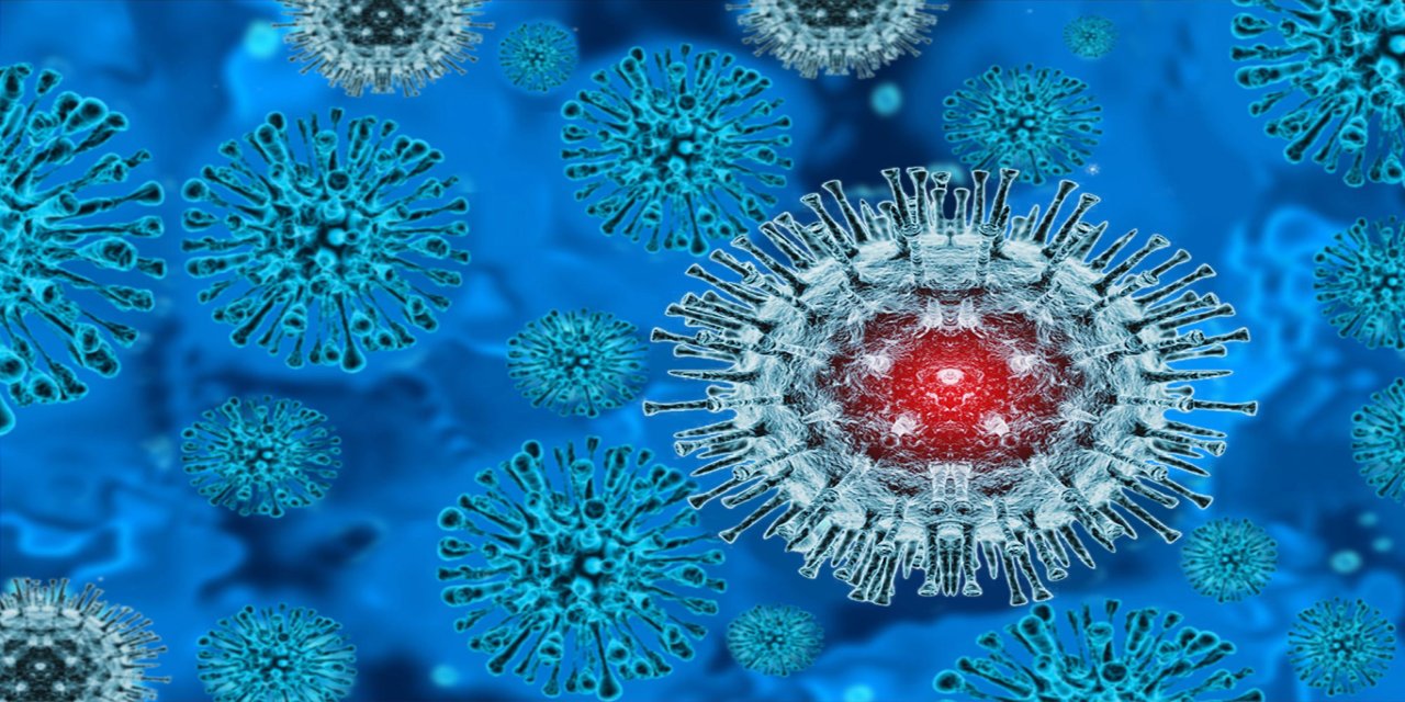 DSÖ'den M çiçeği virüsü için küresel salgın uyarısı