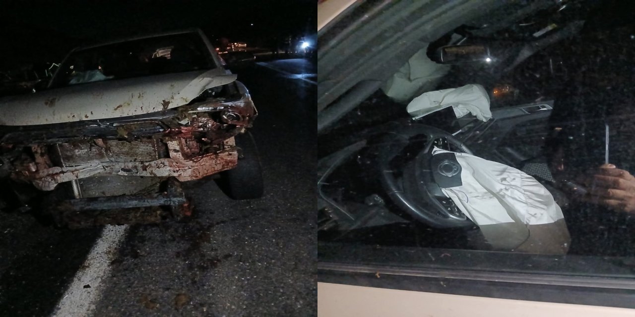 Araç koyun sürüsüne daldı 30 hayvan telef oldu