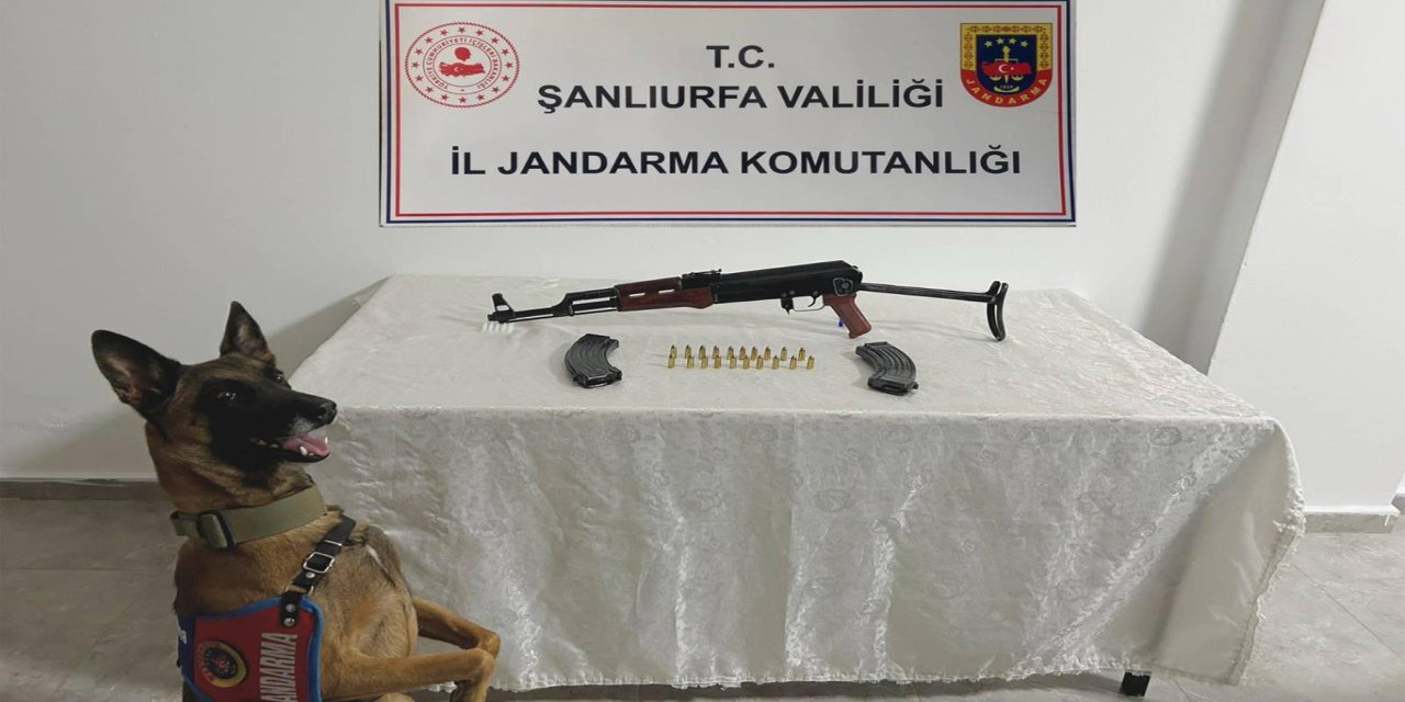 Şanlıurfa’da ruhsatsız silah operasyonu